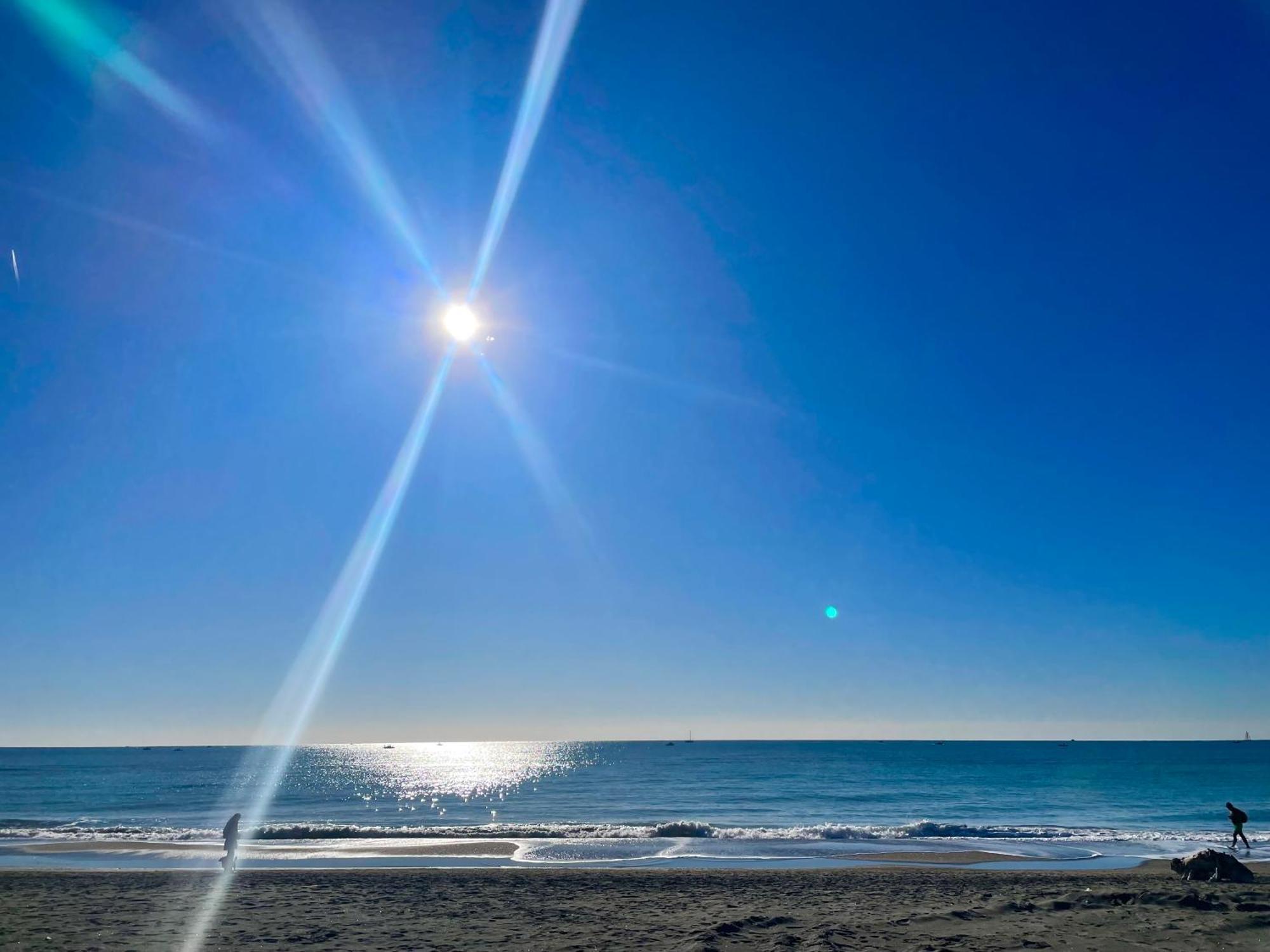 La Bouganville Lido di Ostia Exteriör bild